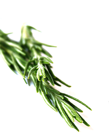 Rosemary
